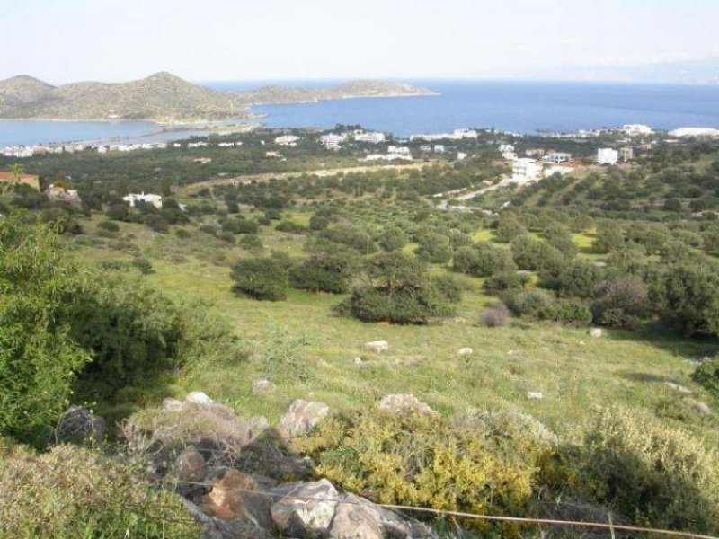 Elounda Kreta, Elounda: Baugrundstück mit Panoramablick zu verkaufen Grundstück kaufen